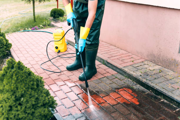 Best Driveway Pressure Washing  in Window Rock, AZ